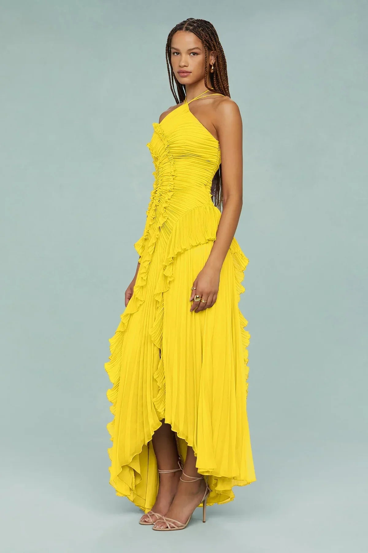 Amika Maxi Dress